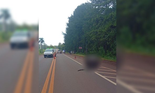 montecarlo motociclista