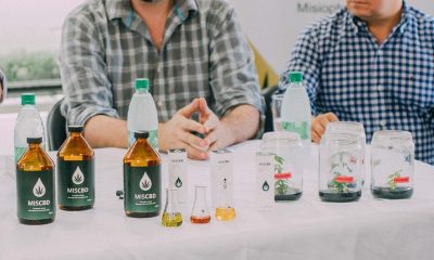 Cierra Misiopharma, la empresa estatal de cannabis medicinal