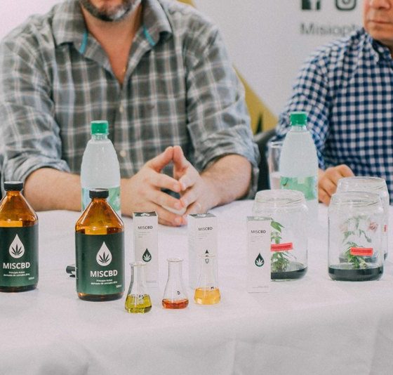 Cierra Misiopharma, la empresa estatal de cannabis medicinal