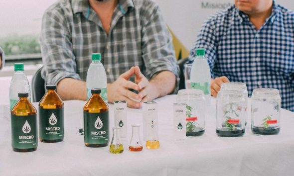 Cierra Misiopharma, la empresa estatal de cannabis medicinal