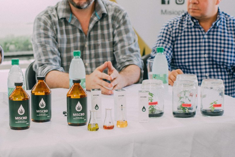 Cierra Misiopharma, la empresa estatal de cannabis medicinal