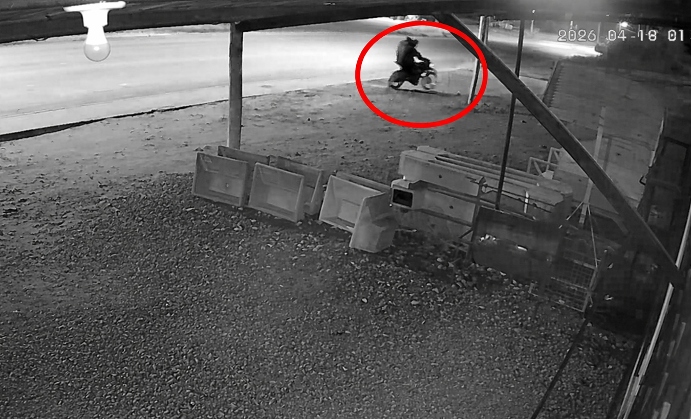 balacera funeraria coleco