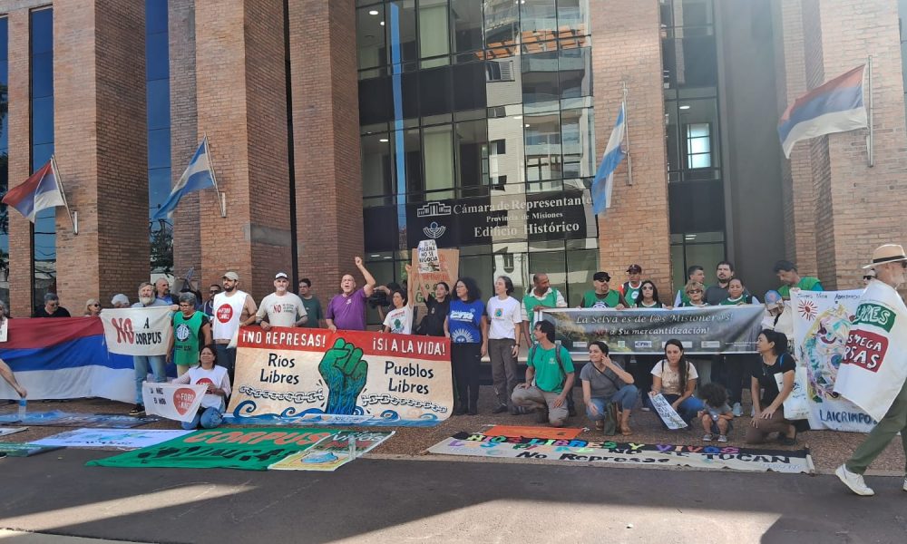 Ambientalistas piden audiencia con Passalacqua por intentos de reflotar Corpus imagen-6