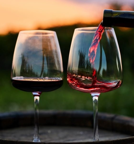 Malbec Wine Fair en Posadas: cata exclusiva y alta cocina en La Aventura