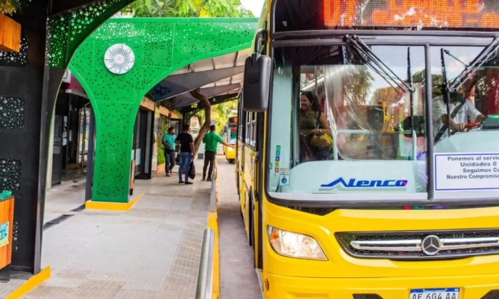 paro colectivos