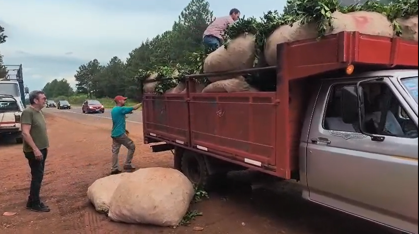 yerba cortes de ruta