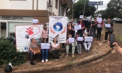 Guaraní: proteccionistas serán querellantes en causa por perros desaparecidos