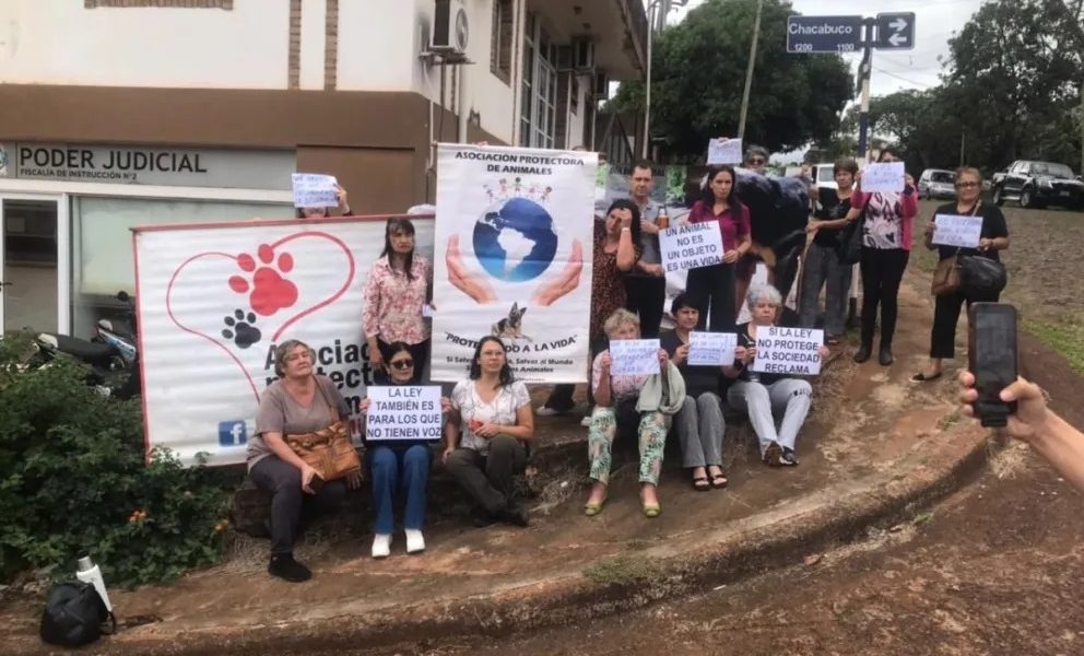 Guaraní: proteccionistas serán querellantes en causa por perros desaparecidos
