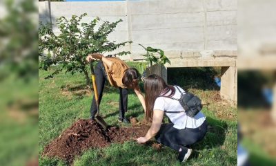 Convocan a plantar árboles al borde del arroyo Santa María de Posadas
