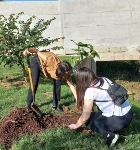 Convocan a plantar árboles al borde del arroyo Santa María de Posadas