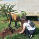 Convocan a plantar árboles al borde del arroyo Santa María de Posadas