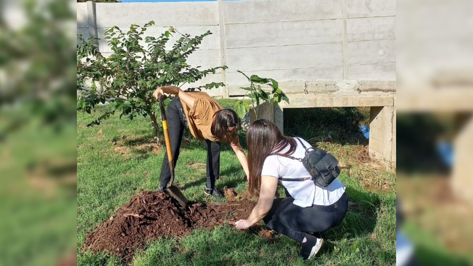 Convocan a plantar árboles al borde del arroyo Santa María de Posadas