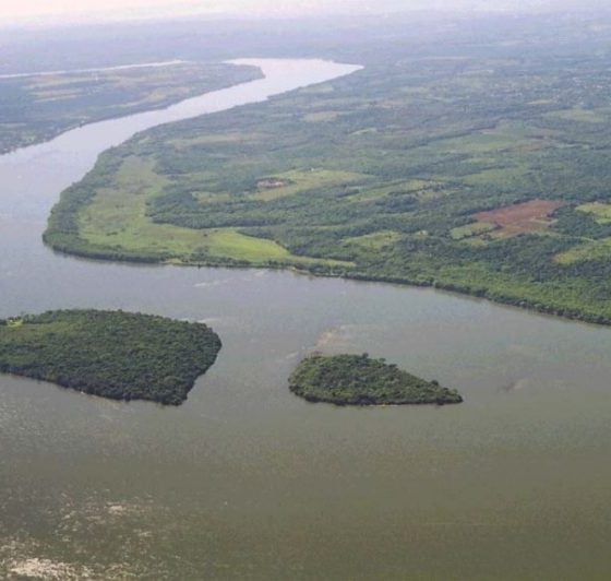 Orembaé presentó amparo contra Ecología por acceso a información sobre Corpus