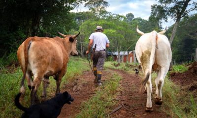 TTT advirtió: “Sin soberanía sobre la tierra no hay futuro para Misiones”