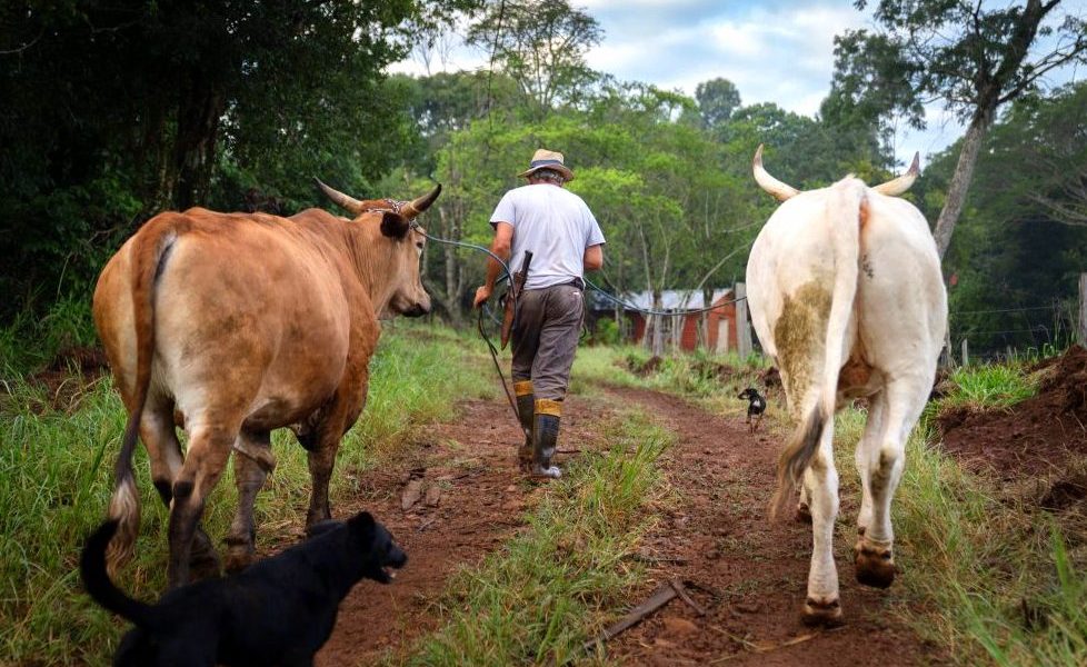 TTT advirtió: “Sin soberanía sobre la tierra no hay futuro para Misiones”
