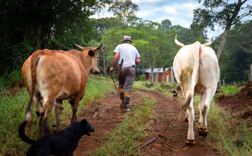 TTT advirtió: “Sin soberanía sobre la tierra no hay futuro para Misiones”
