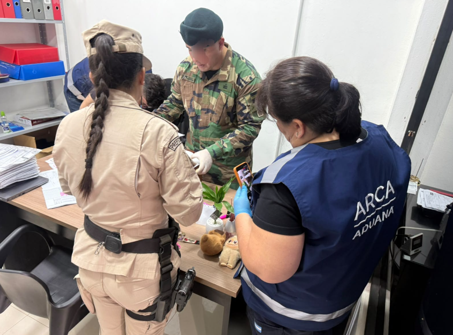 Golpe al contrabando: seis detenidos y mercadería incautada por $1.500 millones imagen-11