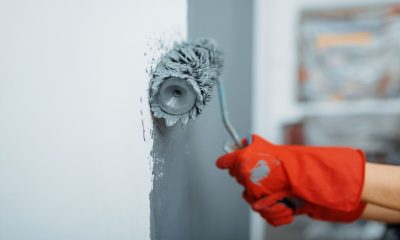 Panambí Colors y las opciones de pinturas para renovar el hogar, en cuotas