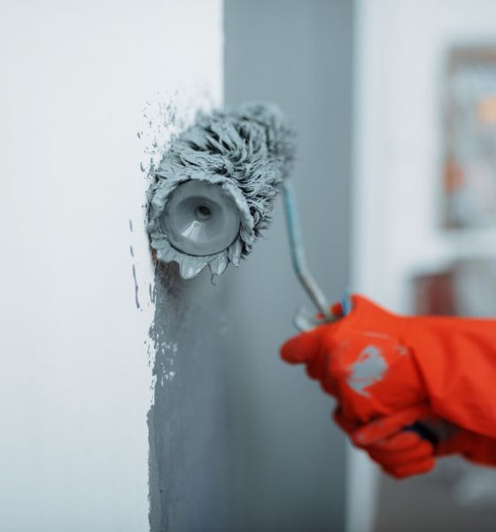 Panambí Colors y las opciones de pinturas para renovar el hogar, en cuotas