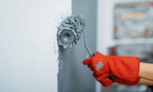 Panambí Colors y las opciones de pinturas para renovar el hogar, en cuotas