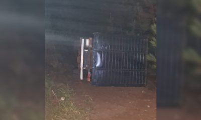 camionero ruta 14