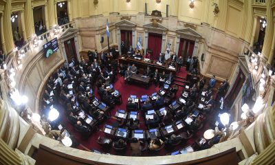 senado