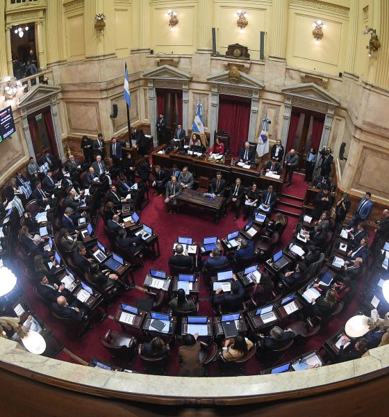 senado