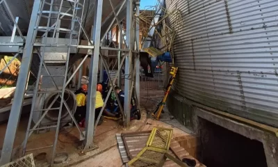 silo brasil