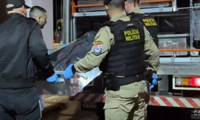brasileño san antonio