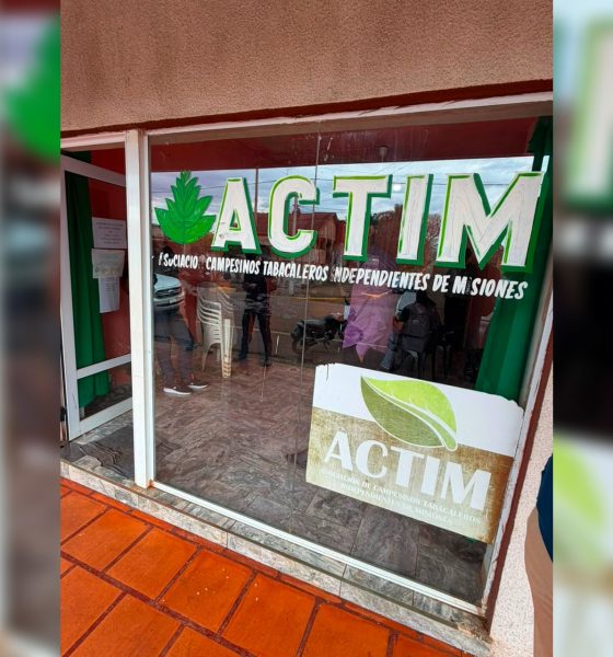 cooperativa actim estafa