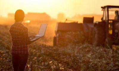 El Banco Nación afianza su liderazgo con un crecimiento récord en el agro