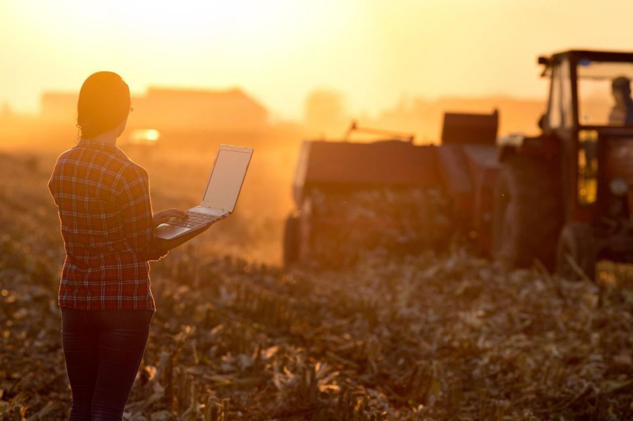 El Banco Nación afianza su liderazgo con un crecimiento récord en el agro