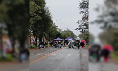 docentes tránsito