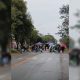 docentes tránsito