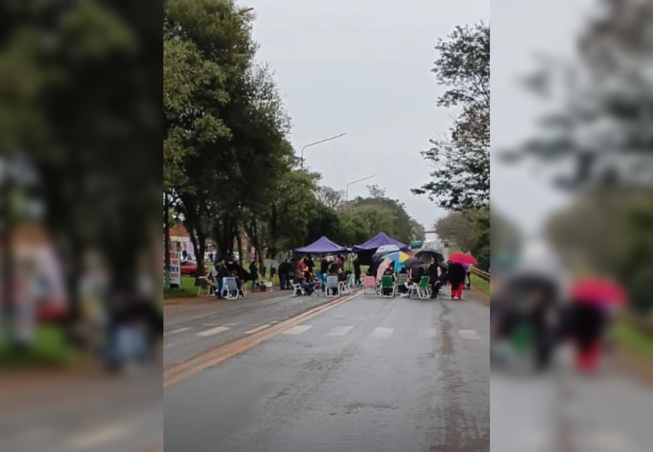 docentes tránsito