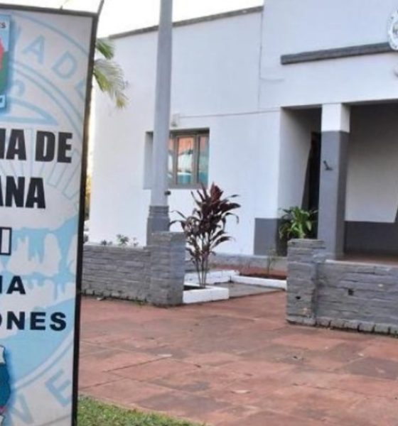 perro santa ana