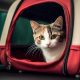Aprueban ordenanza para trasladar mascotas en los colectivos de Posadas