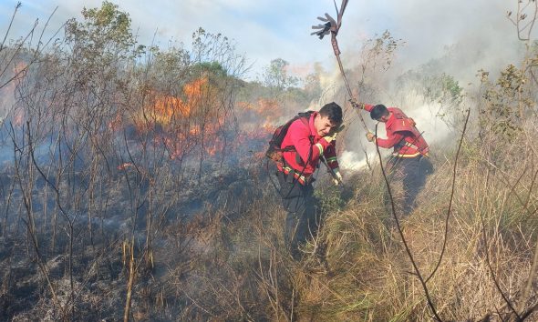 Fuego en Campo San Juan sigue activo: afectó 25 hectáreas de maleza y monte
