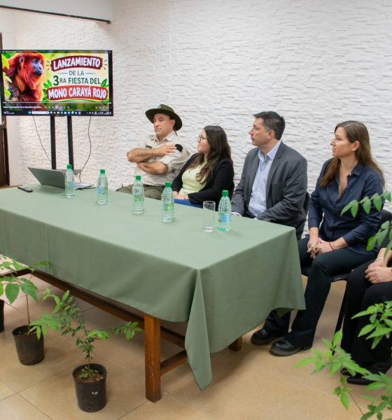 Mono Carayá Rojo: fiesta, conservación y plan para repoblar la selva