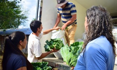 Misiones Produce: un modelo de desarrollo con producción de alimentos y arraigo rural