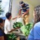 Misiones Produce: un modelo de desarrollo con producción de alimentos y arraigo rural