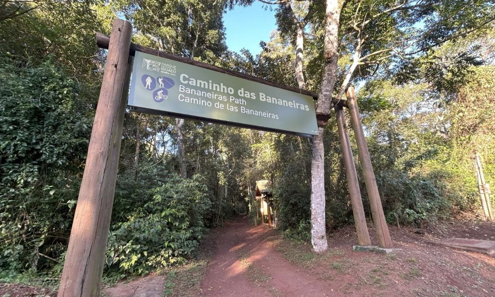 víbora cataratas