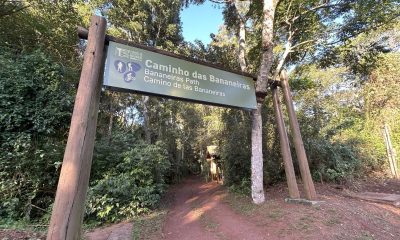 víbora cataratas