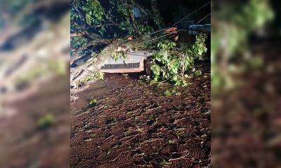 tormenta eldorado