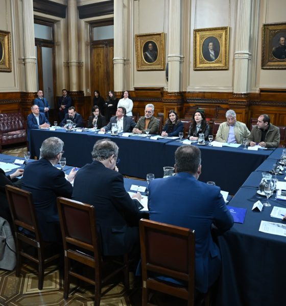 Senado